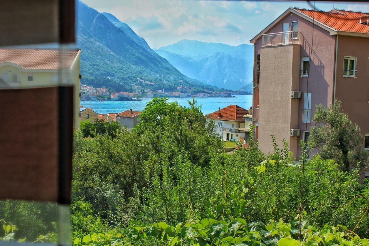 Apartments Jovana كوتور المظهر الخارجي الصورة