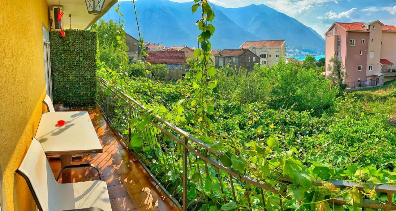 Apartments Jovana كوتور المظهر الخارجي الصورة